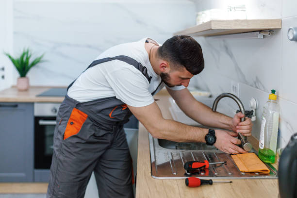 Best Residential Plumbing Services  in Astor, FL