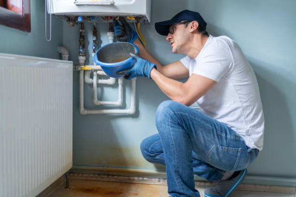 Best Sprinkler Systems  in Astor, FL